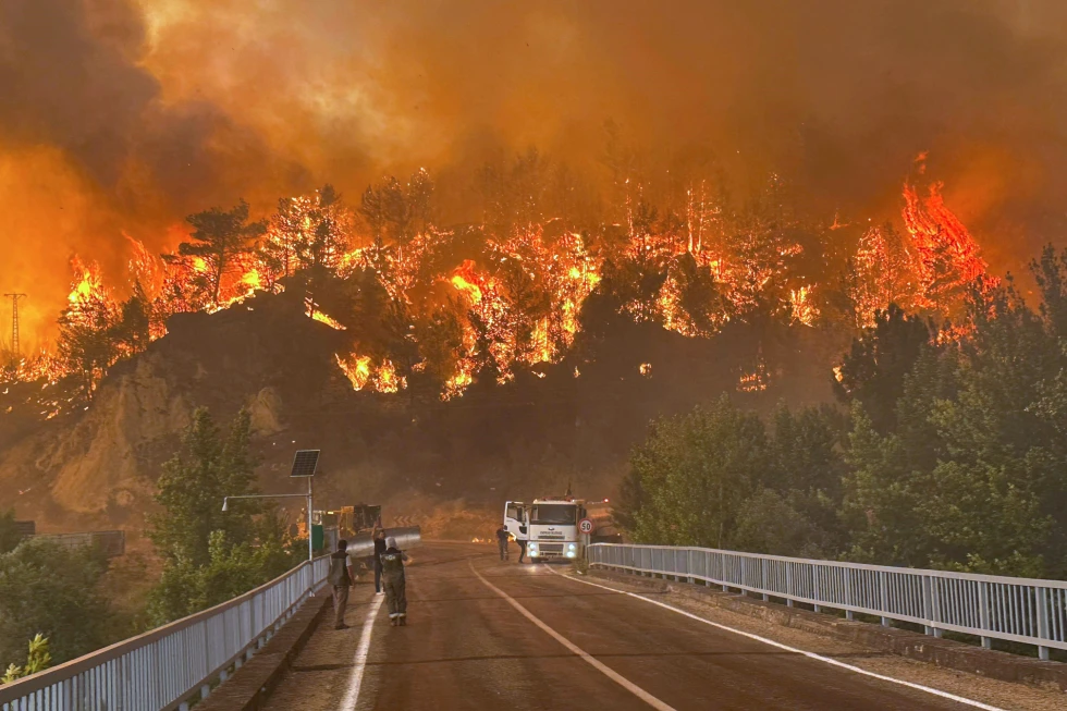 https://apnews.com/article/turkey-wildfire-forestry-workers-rescuers-killed-d89fb0dba1dbe7ff6678ca11ec6f8b47