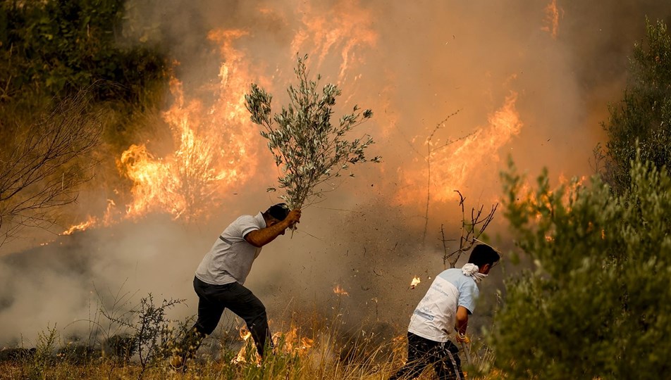 https://www.iklimhaber.org/2024te-turkiyede-toplam-3-bin-800-ormani-yangini-cikti/